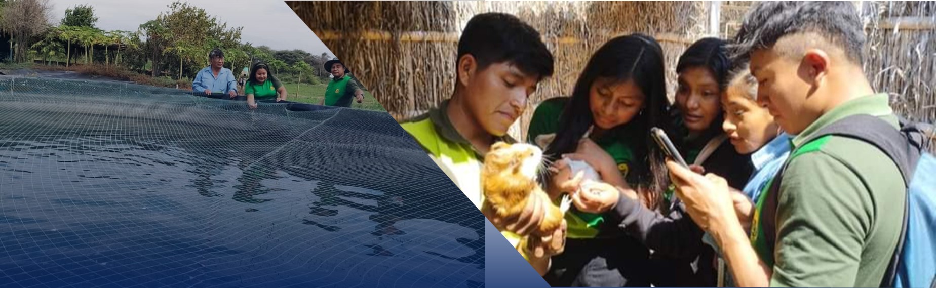 Administración de Negocios Agropecuarios